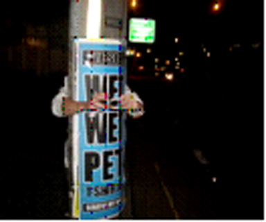 SMN Pole Posters
