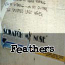 SMN Feathers